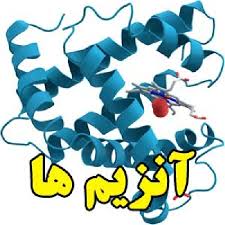 پاورپوینت آشنایی با آنزيم ها 